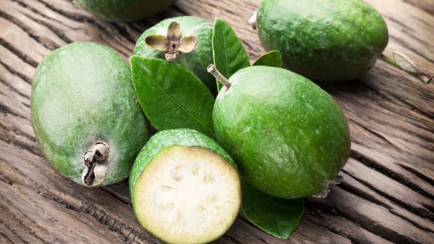 Feijoa, New Zealand