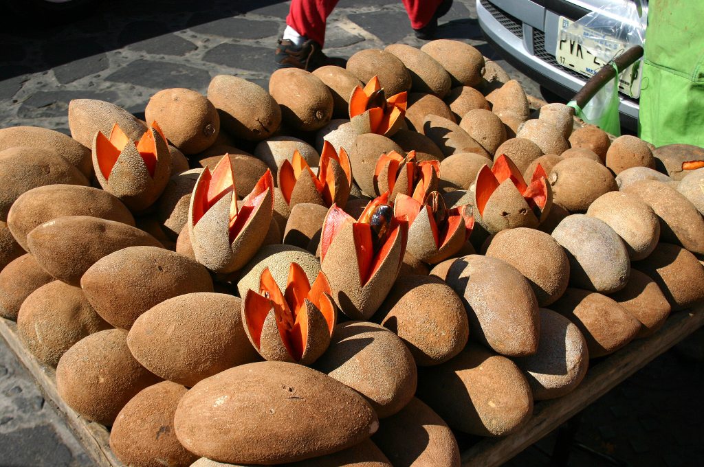 Mamey, Mexico