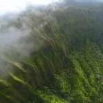 Three cloud forests to visit