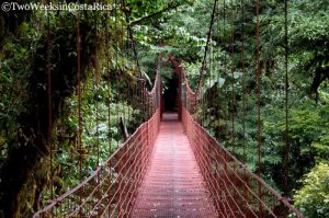Monteverde Reserve, Costa Rica